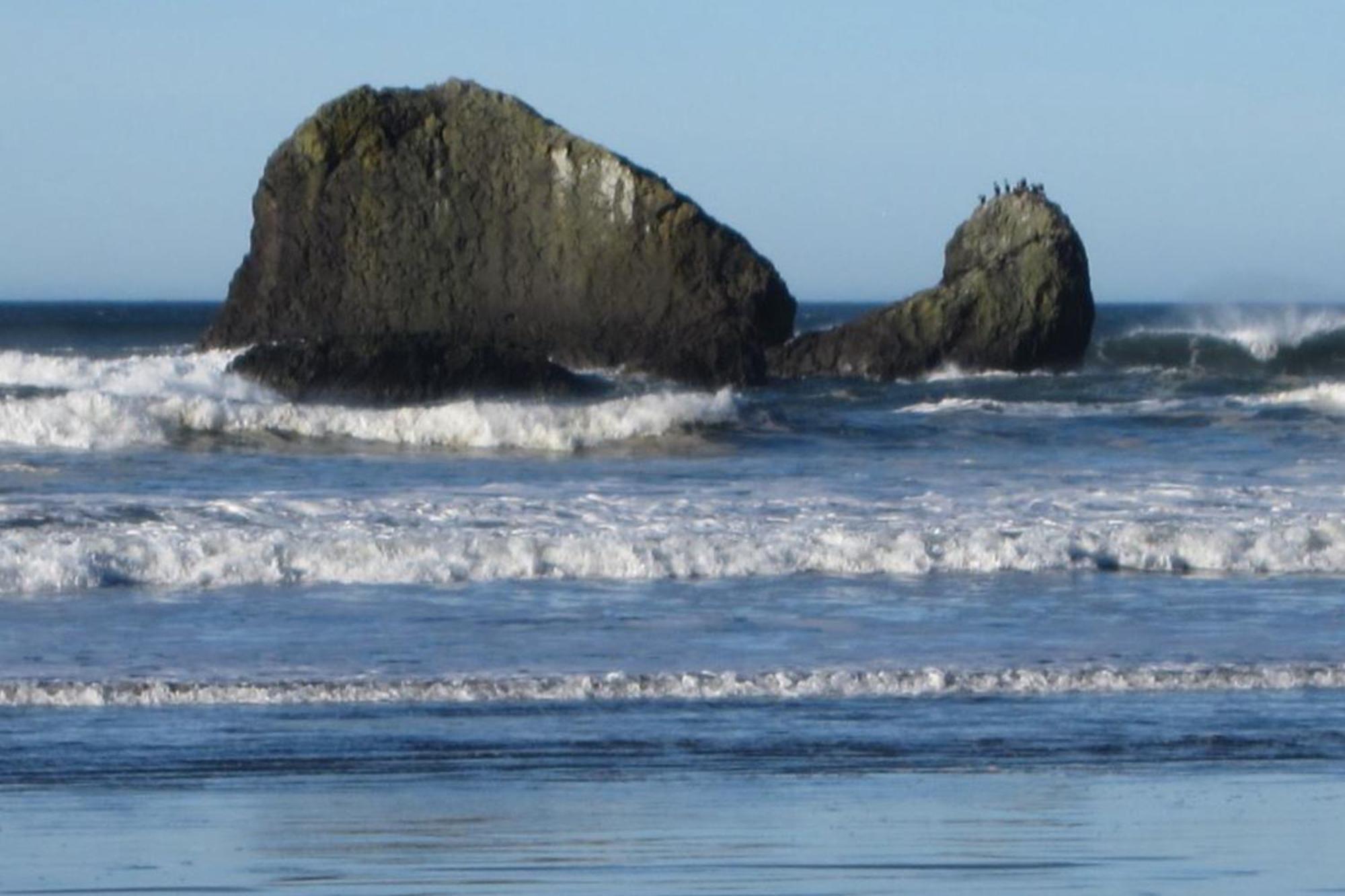 Rocks Cabin Copalis Beach Экстерьер фото