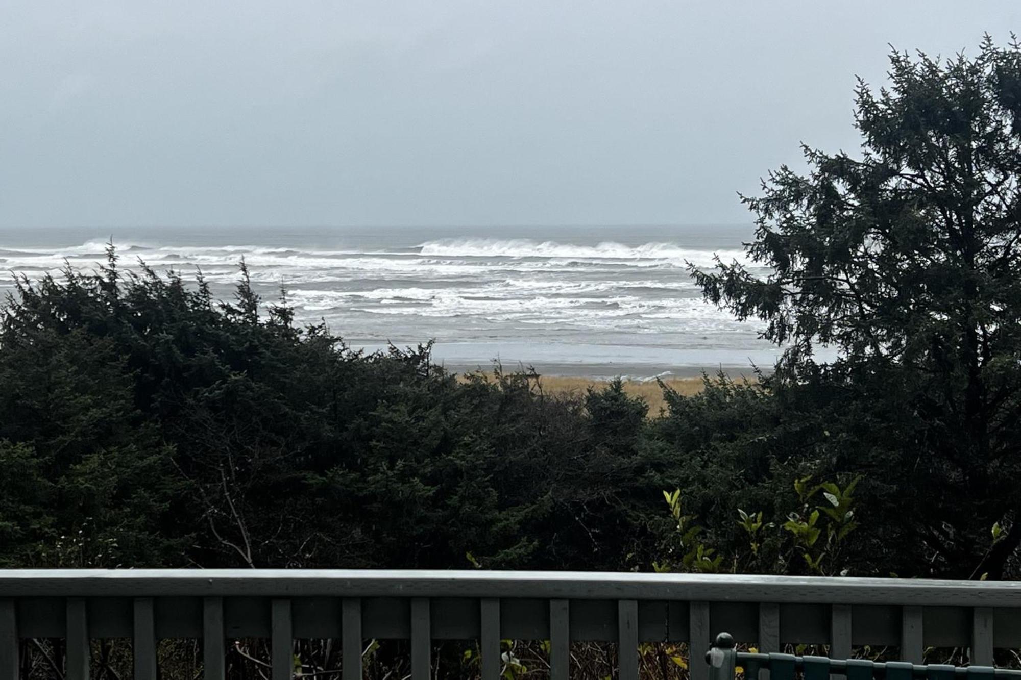 Rocks Cabin Copalis Beach Экстерьер фото